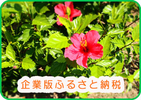 企業版ふるさと納税