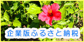 企業版ふるさと納税