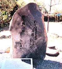 富里節 富里節