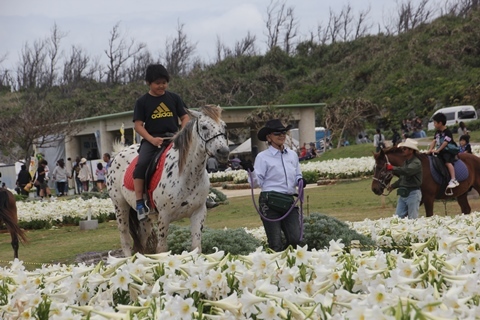 乗馬写真3