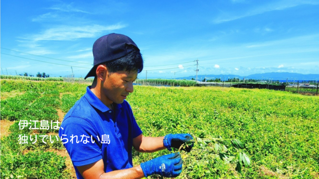 地域おこし協力隊