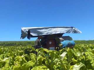 働き方1宮里さん