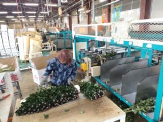 働き方3並里さん3