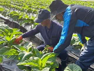 働き方2大城さん