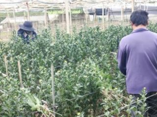 働き方4島袋さん3