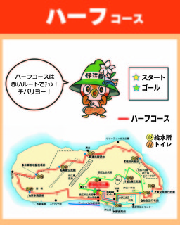 ハーフ