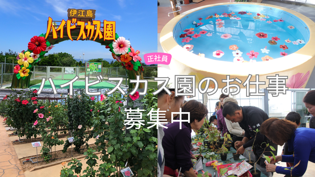 ハイビスカス園