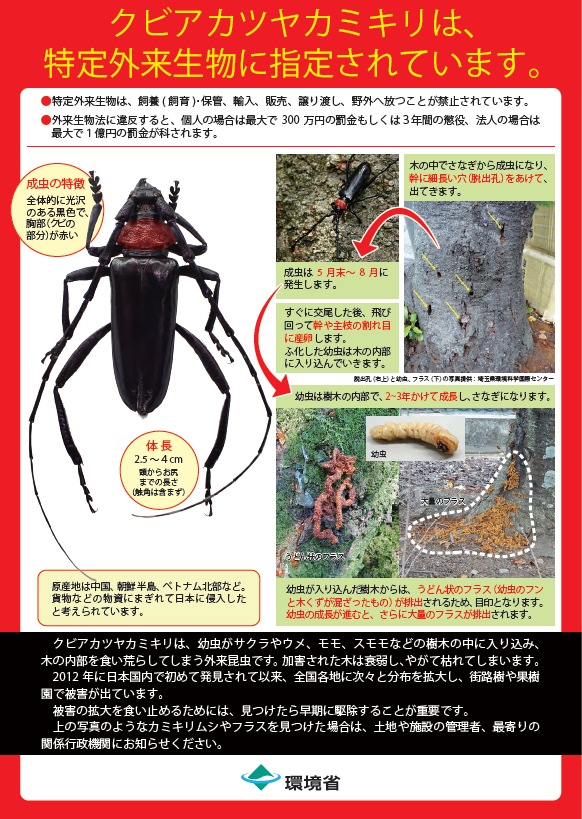資料1