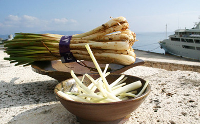 特産品の育成及び地域産業の振興