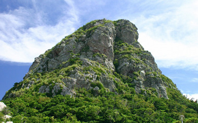 その他目的達成